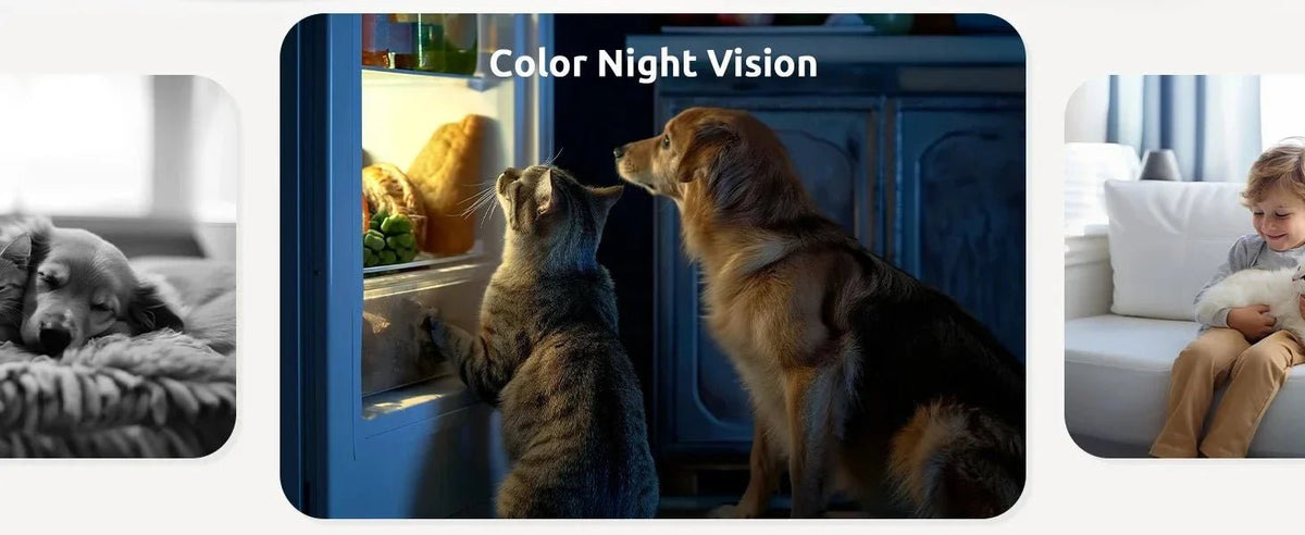 Peace Of Mind Camera For Pets And Elders - Enovarah