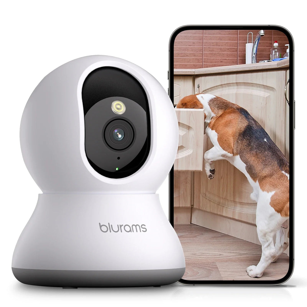 Peace Of Mind Camera For Pets And Elders - Enovarah