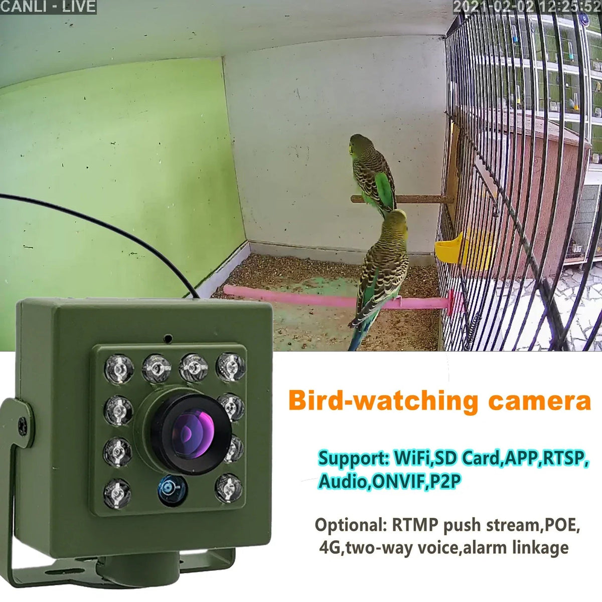 Smarter Bird Box Camera for Birdwatchers - Enovarah