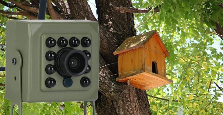 Smarter Bird Box Camera for Birdwatchers - Enovarah