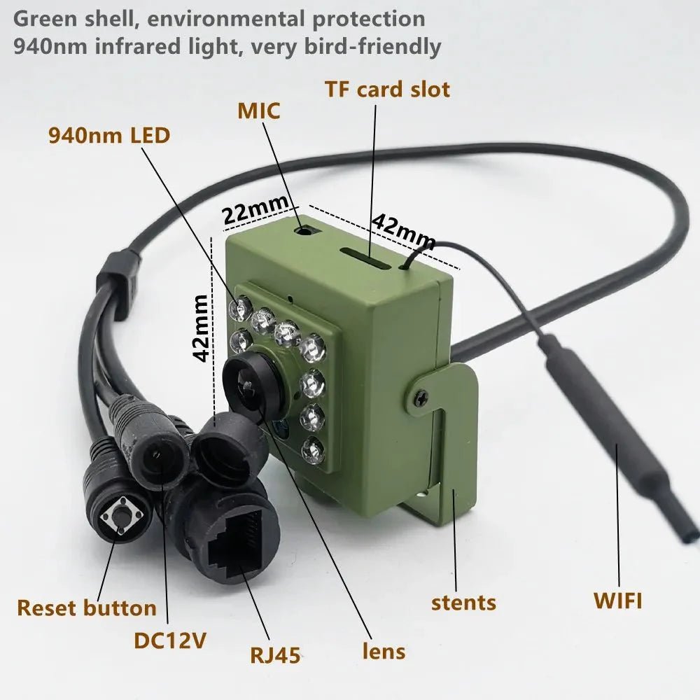 Smarter Bird Box Camera for Birdwatchers - Enovarah