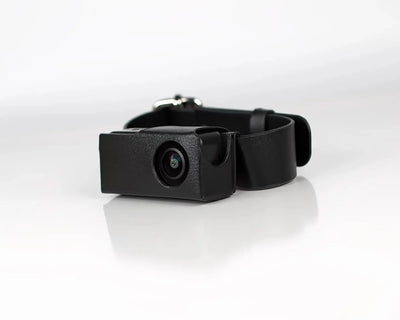 BORME HD 1080P Pet Collar Camera No WiFi Needed For Cats And Dogs - stepyours.com
