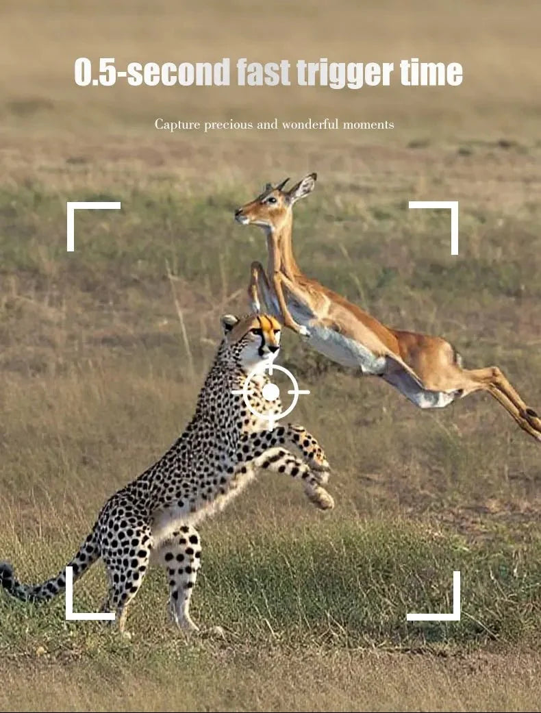 MiniDL003 Wild Hunter Camera 16MP 1080P Night Vision For Trails - stepyours.com