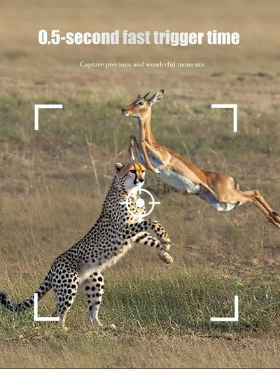 Night Vision Trail Camera for Hunters - Enovarah