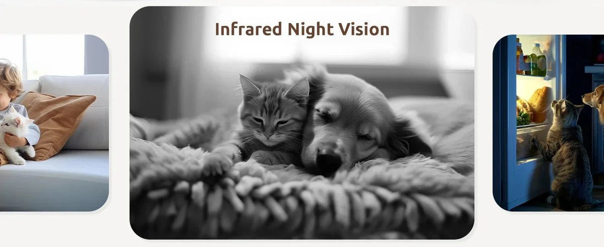 Peace Of Mind Camera For Pets And Elders - Enovarah