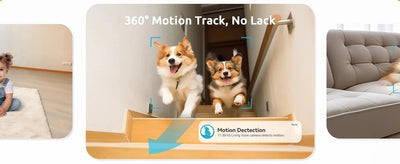 Peace Of Mind Camera For Pets And Elders - Enovarah