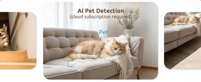 Peace Of Mind Camera For Pets And Elders - Enovarah