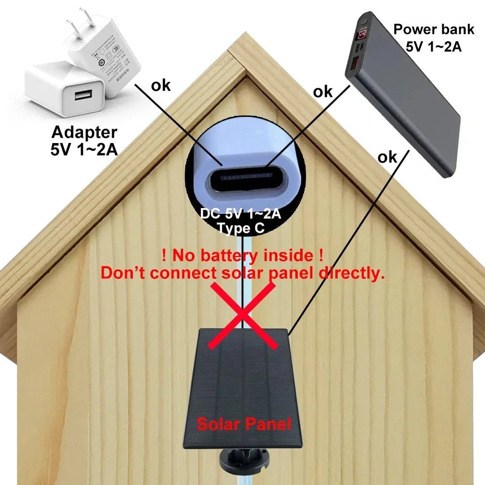 Real-Time Bird Watching Nest Box Camera - Enovarah