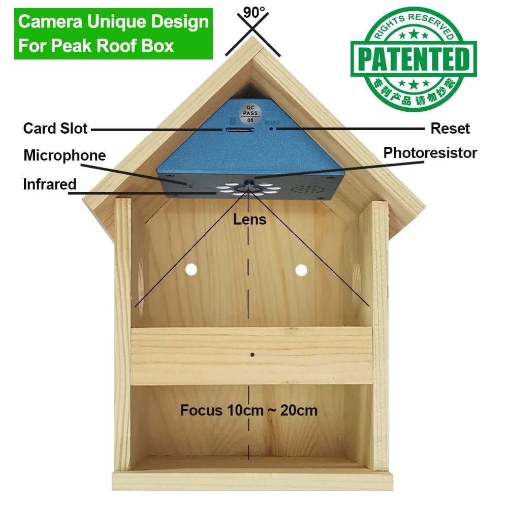 Real-Time Bird Watching Nest Box Camera - Enovarah