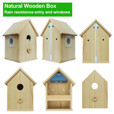 Real-Time Bird Watching Nest Box Camera - Enovarah