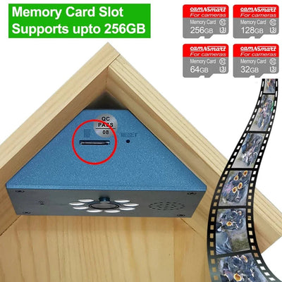 Real-Time Bird Watching Nest Box Camera - Enovarah