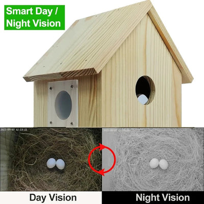 Real-Time Bird Watching Nest Box Camera - Enovarah