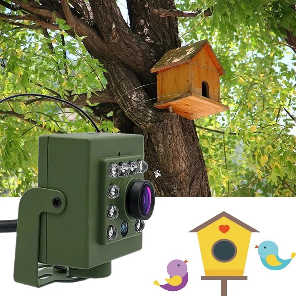 Smarter Bird Box Camera for Birdwatchers - Enovarah