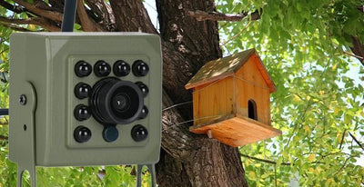 Smarter Bird Box Camera for Birdwatchers - Enovarah