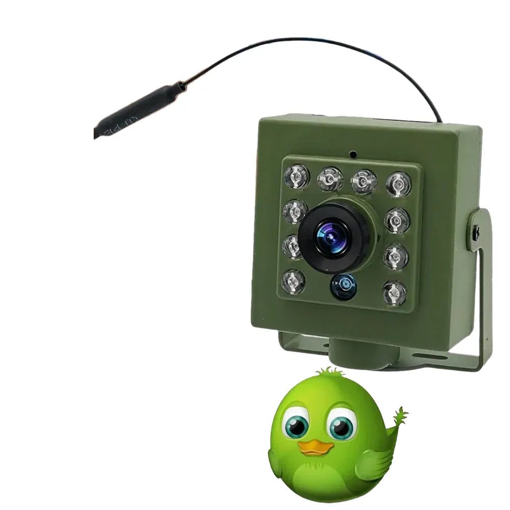 Smarter Bird Box Camera for Birdwatchers - Enovarah